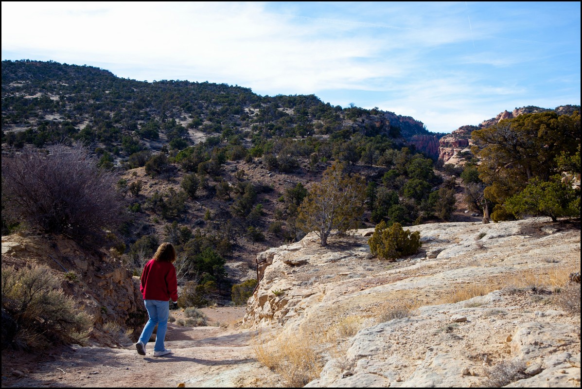 Thanksgiving-Grand-Junction-2011-0010.jpg