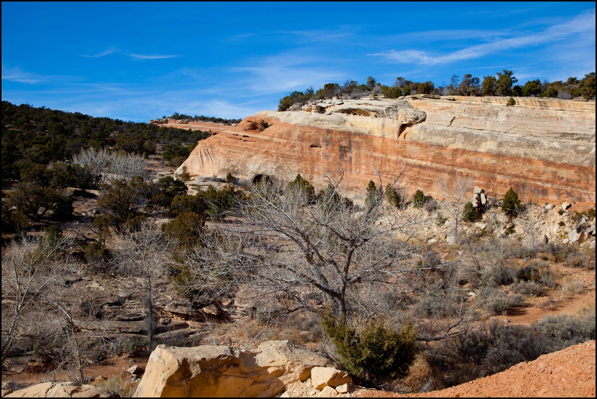 Thanksgiving-Grand-Junction-2011-0015.jpg