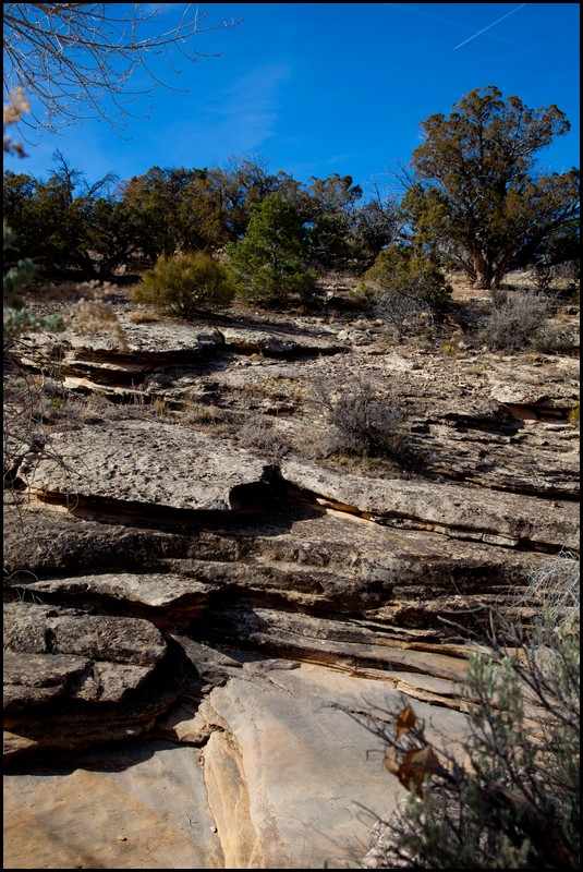 Thanksgiving-Grand-Junction-2011-0018.jpg