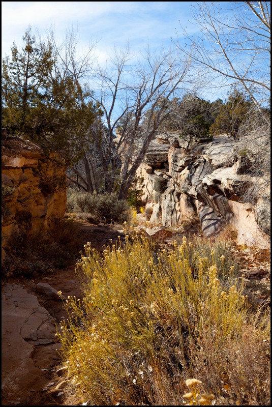 Thanksgiving-Grand-Junction-2011-0019.jpg