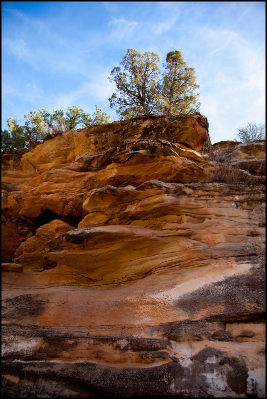 Thanksgiving-Grand-Junction-2011-0020.jpg