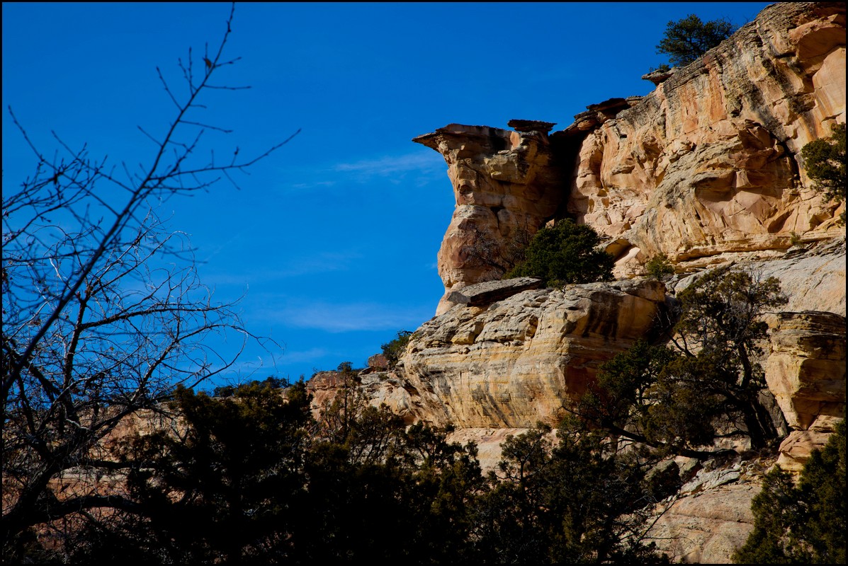 Thanksgiving-Grand-Junction-2011-0024.jpg