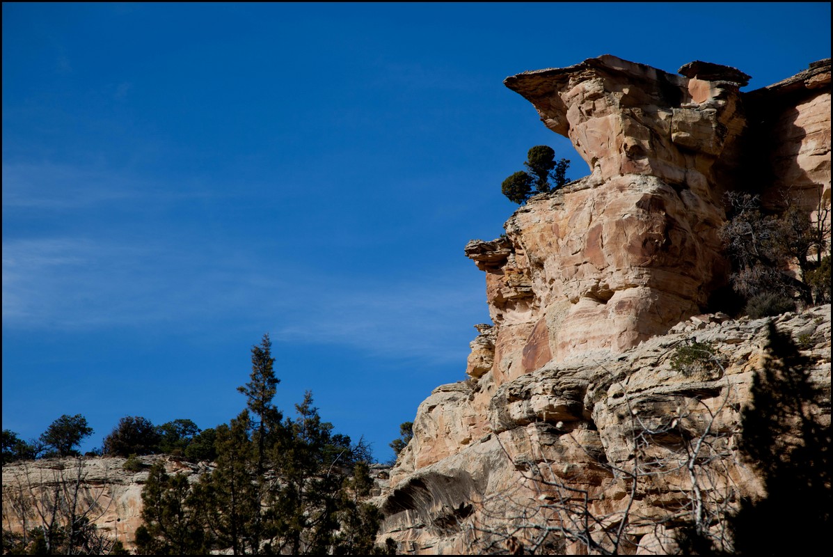 Thanksgiving-Grand-Junction-2011-0027.jpg