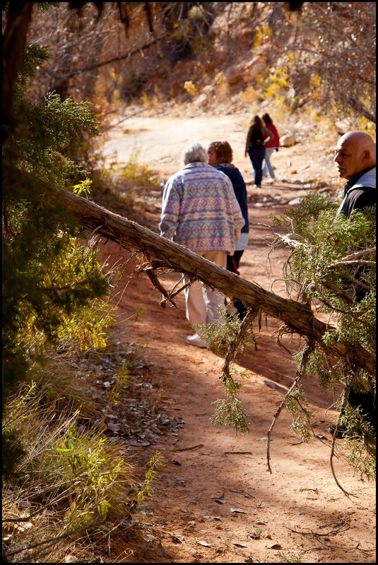 Thanksgiving-Grand-Junction-2011-0032.jpg