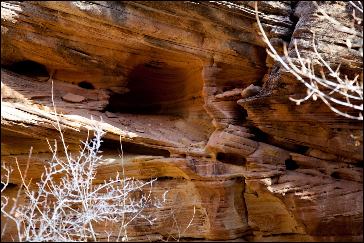 Thanksgiving-Grand-Junction-2011-0034.jpg