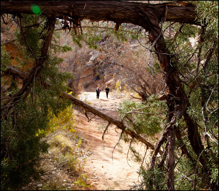 Thanksgiving-Grand-Junction-2011-0046-1.jpg