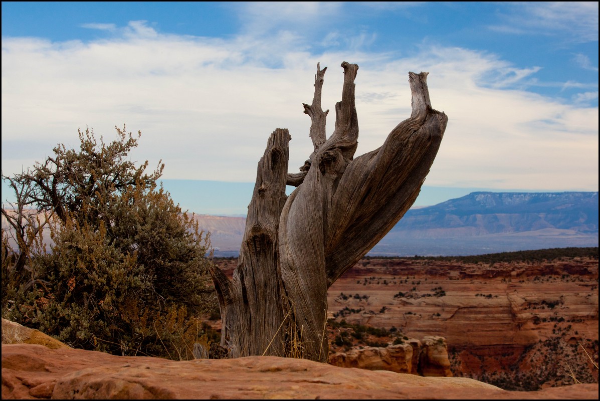 Thanksgiving-Grand-Junction-2011-0123.jpg