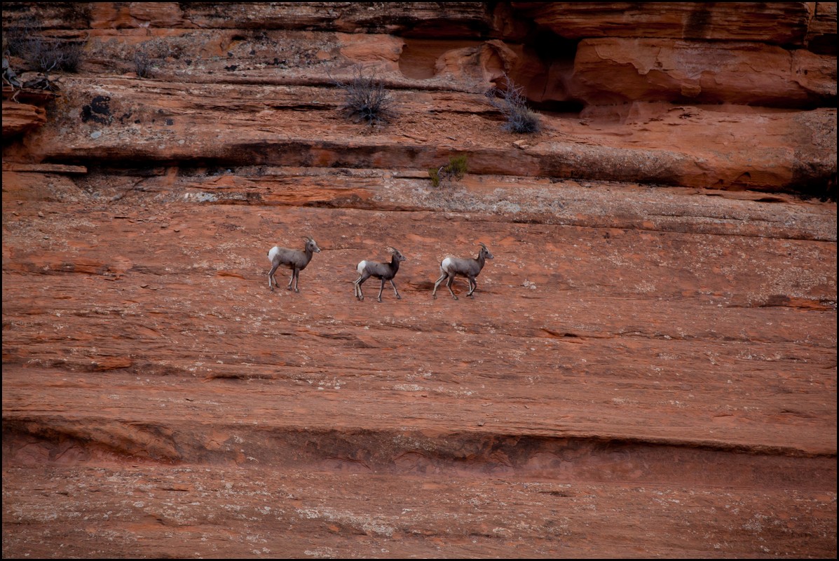 Thanksgiving-Grand-Junction-2011-0134.jpg