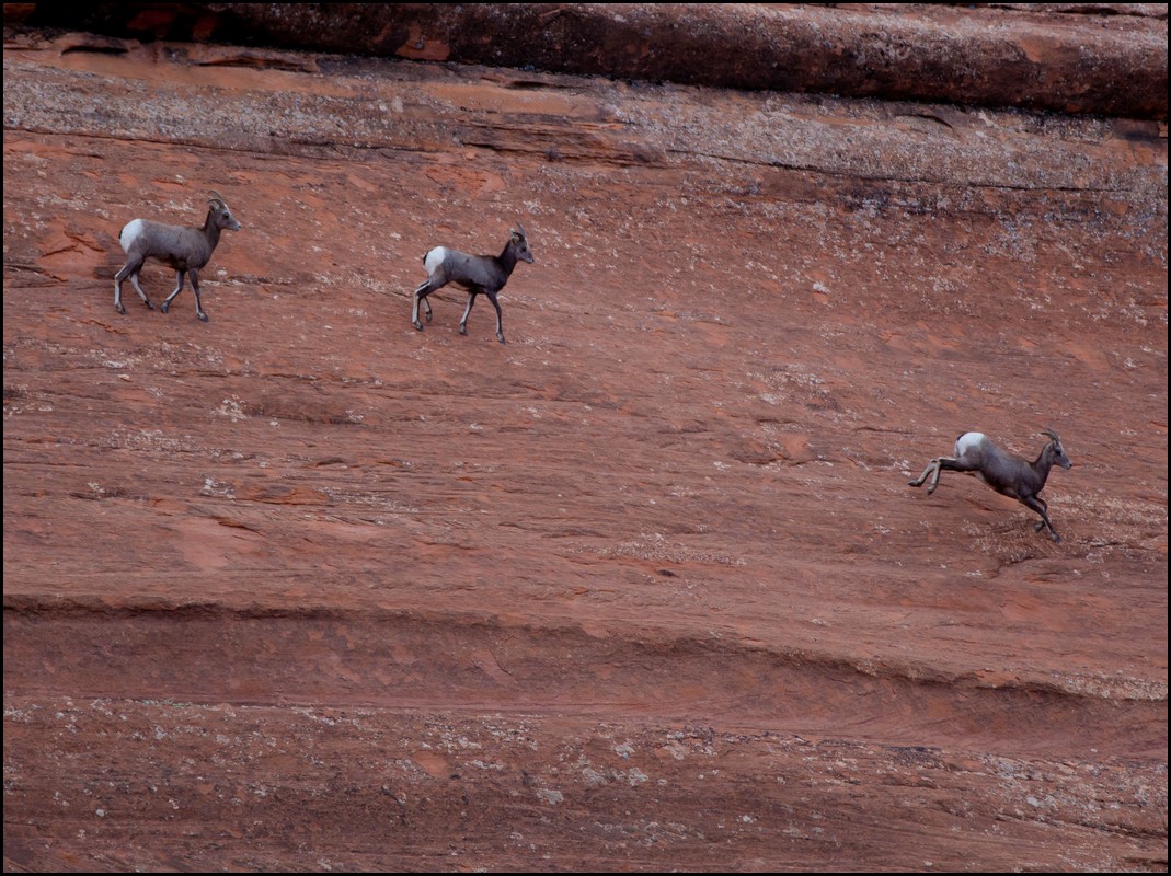Thanksgiving-Grand-Junction-2011-0135.jpg