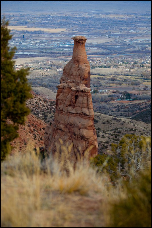 Thanksgiving-Grand-Junction-2011-0140.jpg