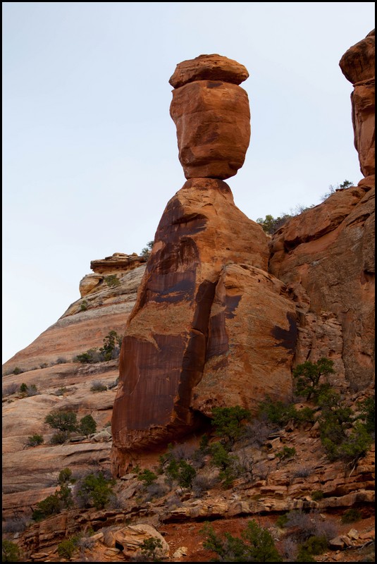 Thanksgiving-Grand-Junction-2011-0141.jpg
