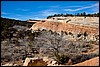 Thanksgiving-Grand-Junction-2011-0015.jpg