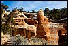 Thanksgiving-Grand-Junction-2011-0016.jpg