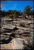 Thanksgiving-Grand-Junction-2011-0018.jpg