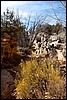 Thanksgiving-Grand-Junction-2011-0019.jpg