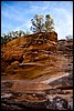 Thanksgiving-Grand-Junction-2011-0020.jpg