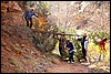Thanksgiving-Grand-Junction-2011-0030.jpg