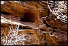 Thanksgiving-Grand-Junction-2011-0034.jpg