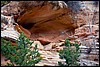 Thanksgiving-Grand-Junction-2011-0035.jpg