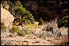 Thanksgiving-Grand-Junction-2011-0039.jpg