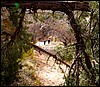 Thanksgiving-Grand-Junction-2011-0046-1.jpg