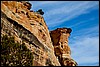 Thanksgiving-Grand-Junction-2011-0048-1.jpg