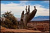 Thanksgiving-Grand-Junction-2011-0123.jpg