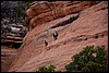 Thanksgiving-Grand-Junction-2011-0136.jpg