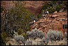 Thanksgiving-Grand-Junction-2011-0139.jpg