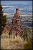 Thanksgiving-Grand-Junction-2011-0140.jpg