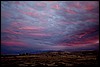 Thanksgiving-Grand-Junction-2011-0143.jpg