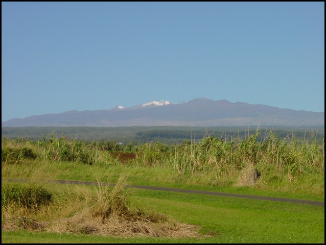 Hawaii 2001-15.JPG