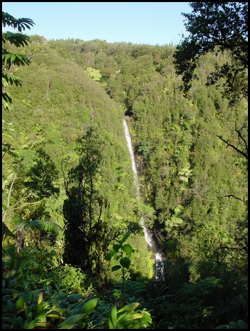 Hawaii 2001-21.JPG