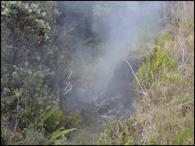 Hawaii 2001-32.JPG