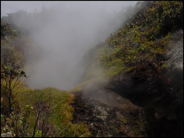Hawaii 2001-34.JPG
