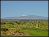 Hawaii 2001-15.JPG