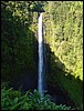 Hawaii 2001-24.JPG