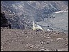 Hawaii 2001-37.JPG