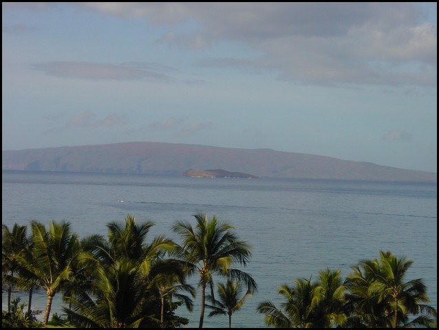 Maui 2000-18.JPG