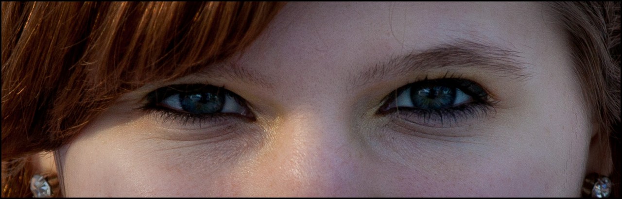 Christmas Michigan 2011 005.jpg