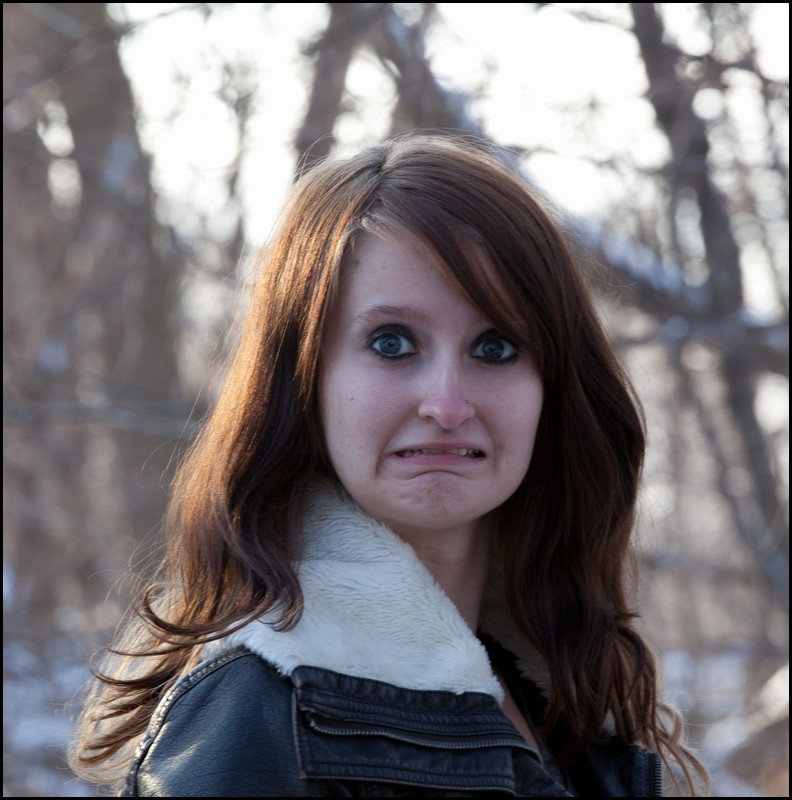 Christmas Michigan 2011 019.jpg