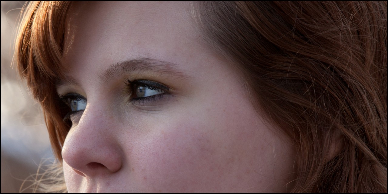 Christmas Michigan 2011 048-2.jpg