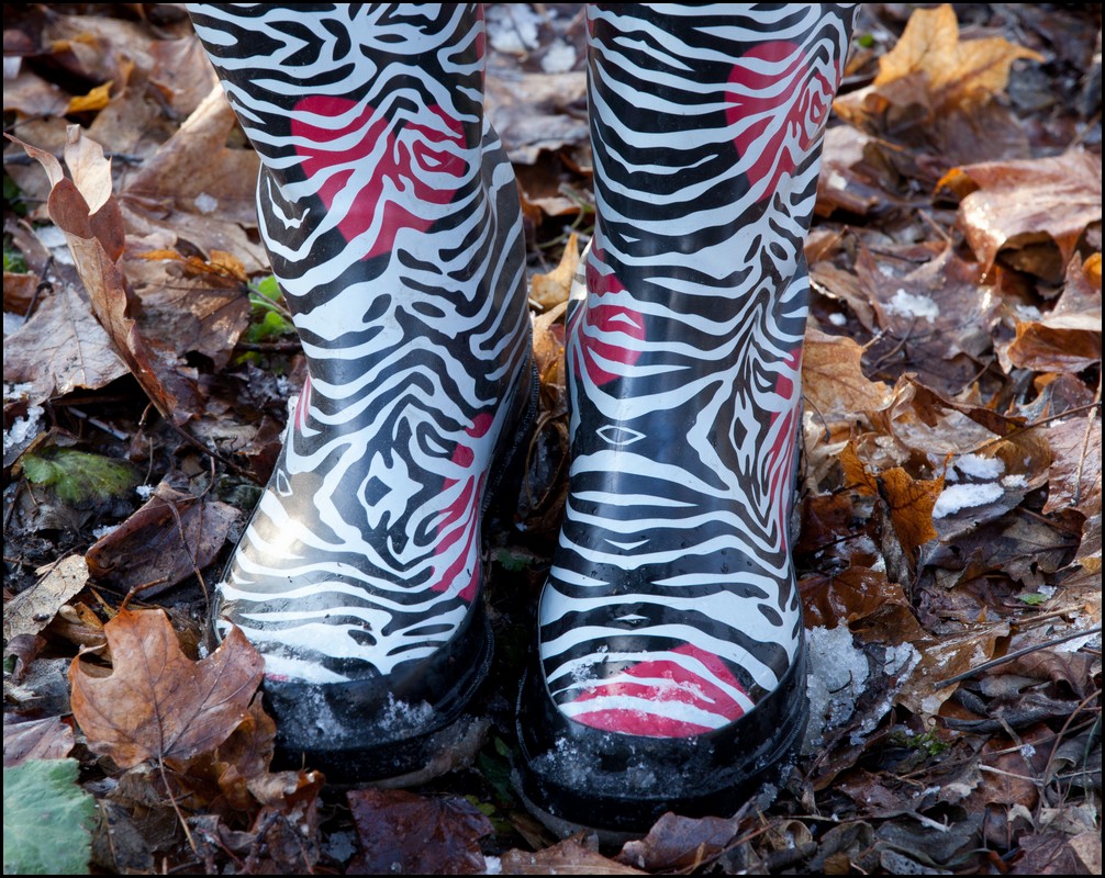 Christmas Michigan 2011 049.jpg