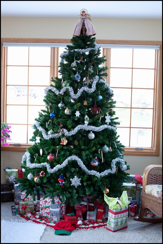 Christmas Michigan 2011 065.jpg