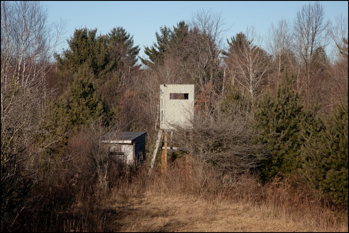 Christmas Michigan 2011 264.jpg