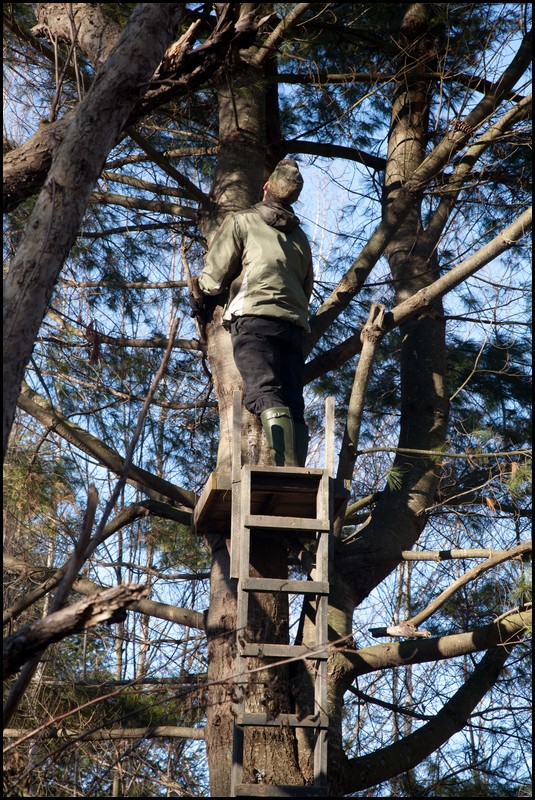 Christmas Michigan 2011 266.jpg