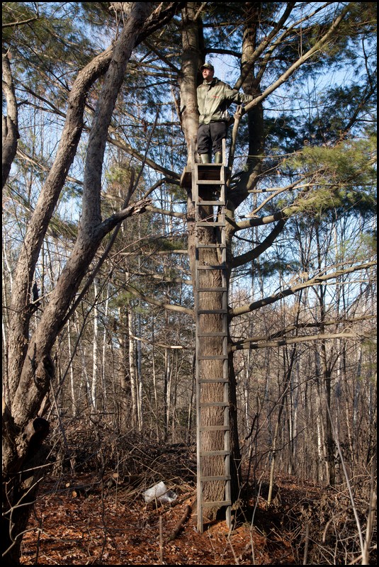 Christmas Michigan 2011 268.jpg