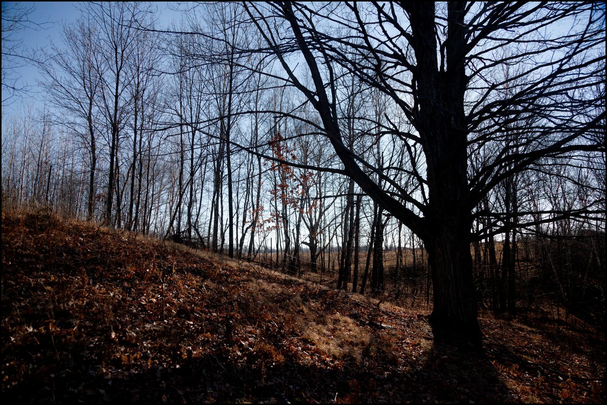 Christmas Michigan 2011 275.jpg