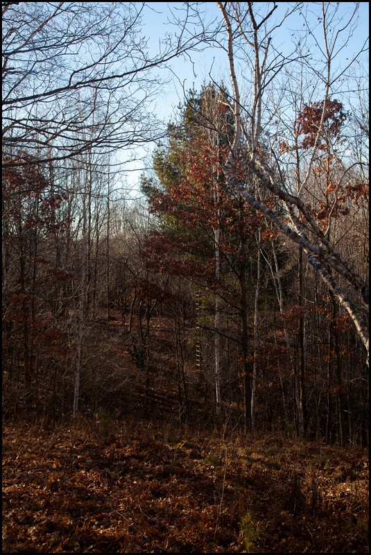 Christmas Michigan 2011 276.jpg