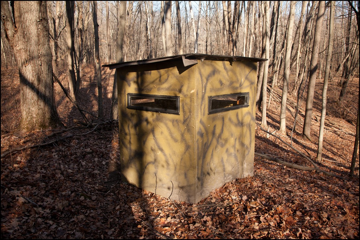 Christmas Michigan 2011 279.jpg